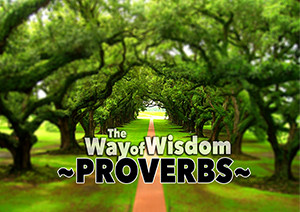 Proverbs - the way of wisdom 300x212